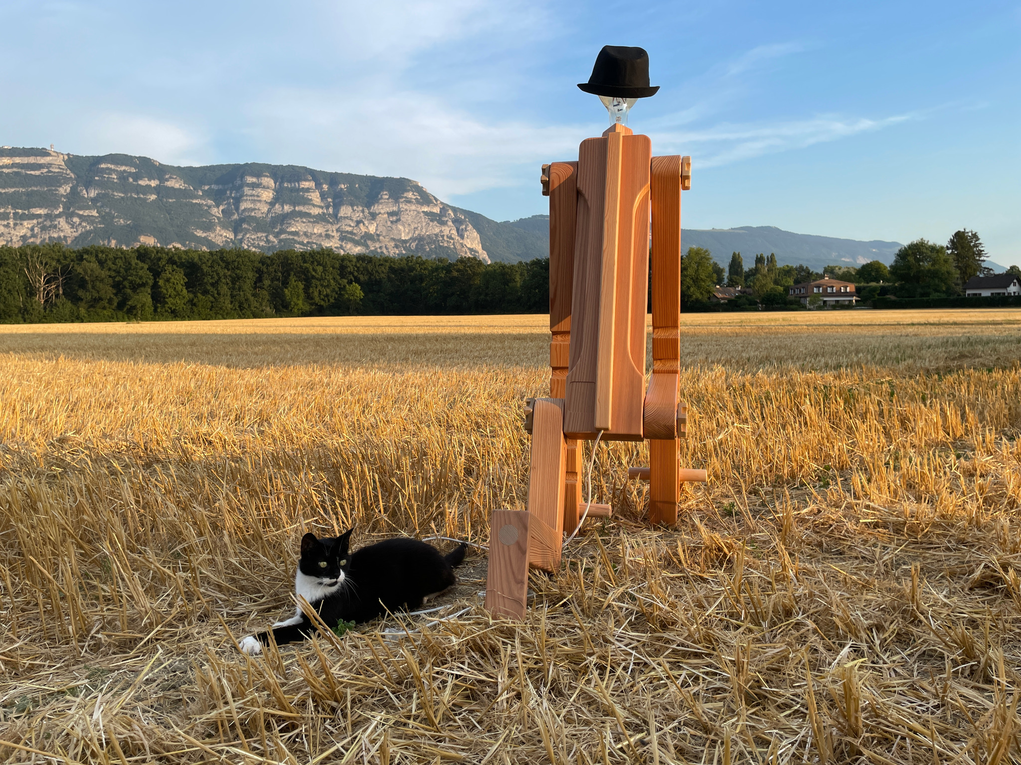 Touky, le chat noir et blanc mascotte Julio–MG, dans un champ aux côtés d’une grande lampe Julio